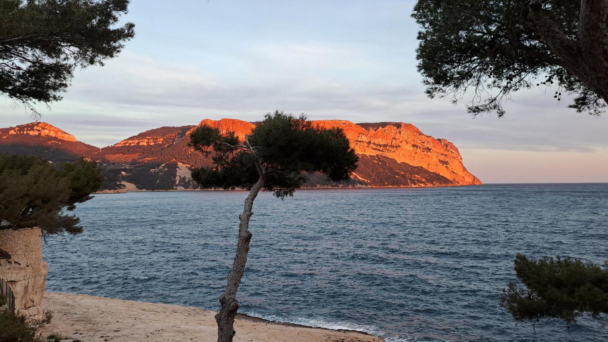 Superbe Appartement Piscine, Tennis, Vue Mer Et Decore Avec Gout Cassis Extérieur photo